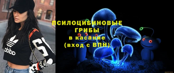 шишки Белокуриха