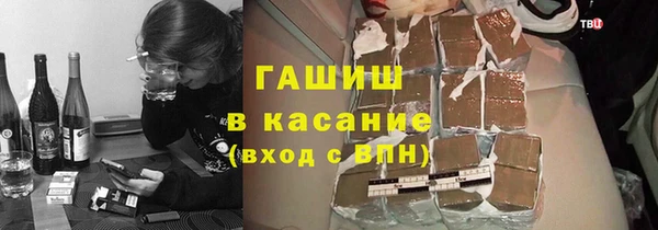 шишки Белокуриха