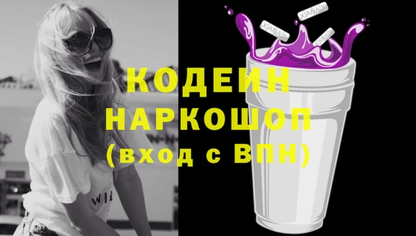 шишки Беломорск