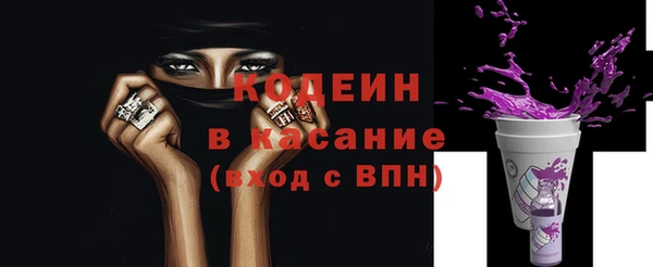 шишки Белокуриха