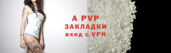 шишки Белокуриха