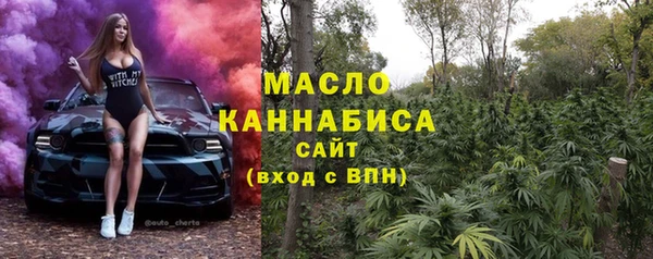шишки Белокуриха