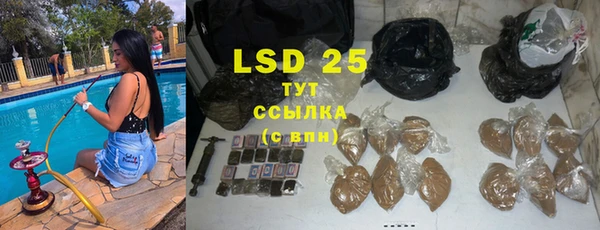 шишки Белокуриха