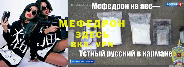 шишки Белокуриха
