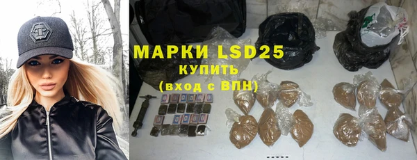 шишки Беломорск