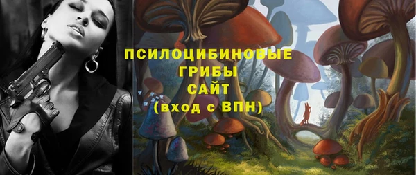 шишки Беломорск
